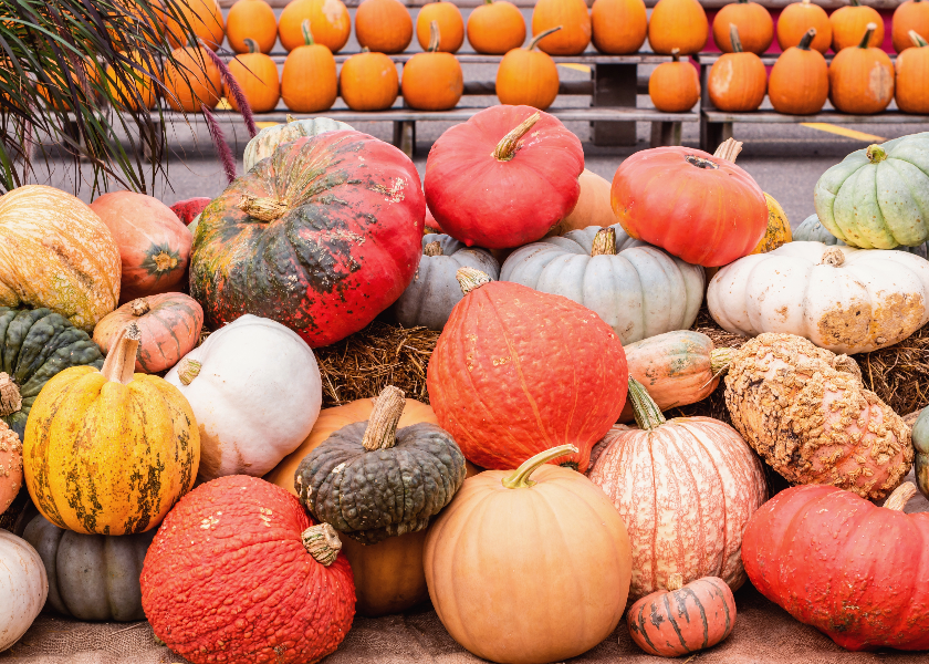 While we're in full fall mode, hit up social media for pumpkin-themed inspiration to incorporate eye-catching autumn displays across your produce department. 