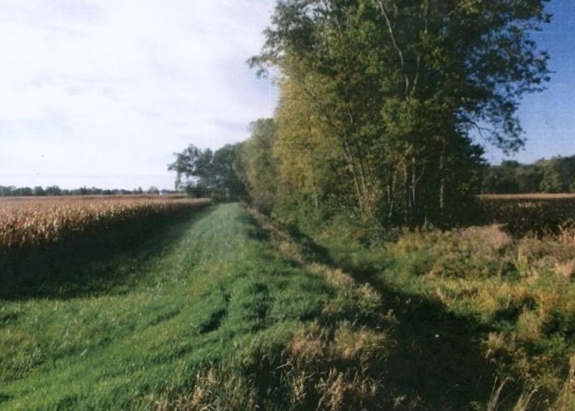 Removal of 18 small thorny locust trees along this ditch line brought the weight of the state down on Steven Slonaker’s farming operation. 