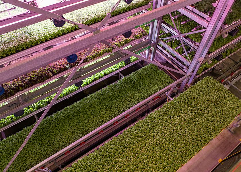 Soli Organic is a soil-based indoor farming company that grows 100% organic produce using both horizontal and vertical space to drive yields.