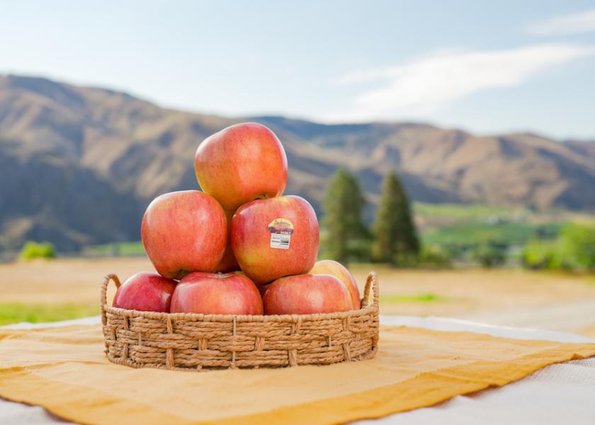 CMI Orchards expects a large, high-quality apple crop.