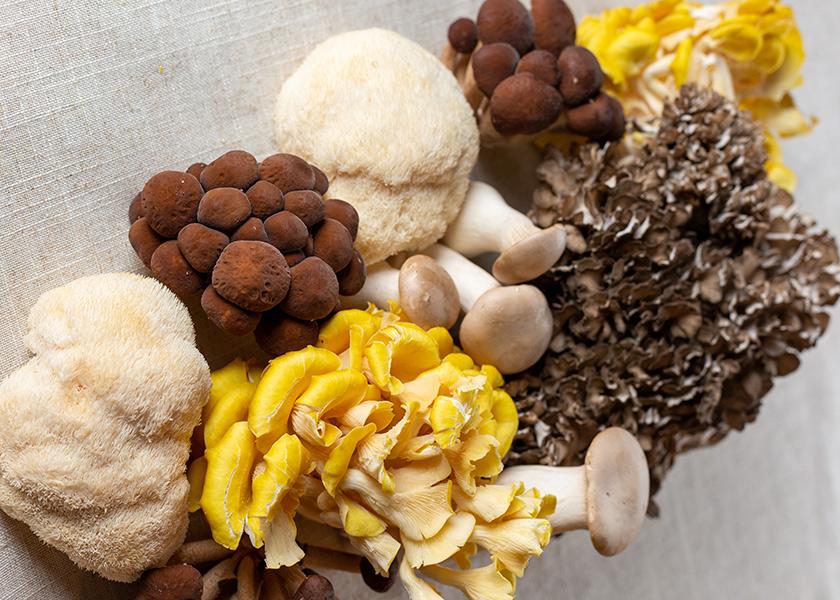 Mother Earth Organic Mushrooms’ recently launched 8-ounce Organic Mother’s Harvest features a blend of exotic mushrooms that may include lion’s mane, oyster, pioppino, maitake and royal trumpet mushrooms. 