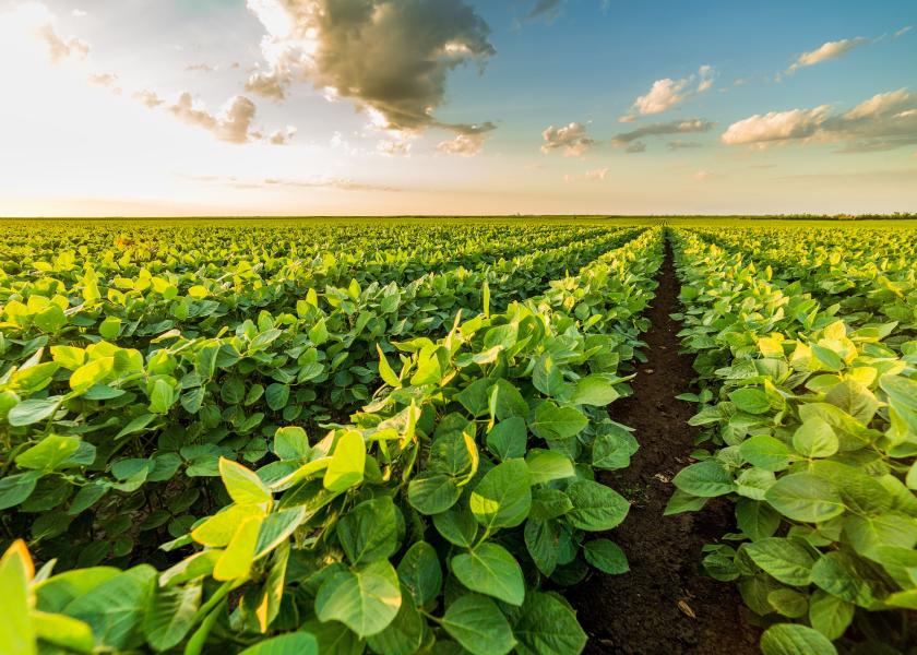 BASF expects to deliver the first trait-enabled, resolved isomeric postemergence herbicide with its introduction of Liberty ULTRA herbicide, Powered by Glu-L Technology, to the U.S. marketplace next season, the company reports.