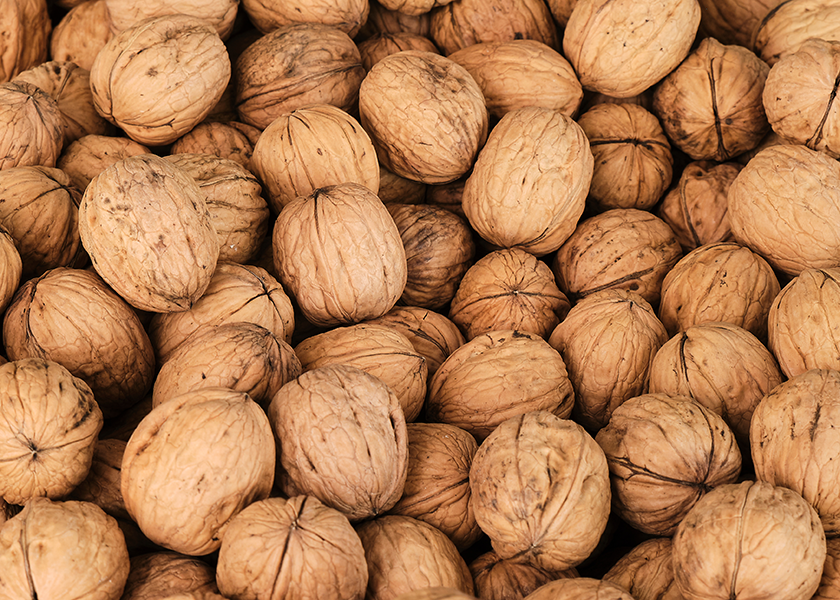 Walnut Shells Manufacturers and Suppliers in the USA