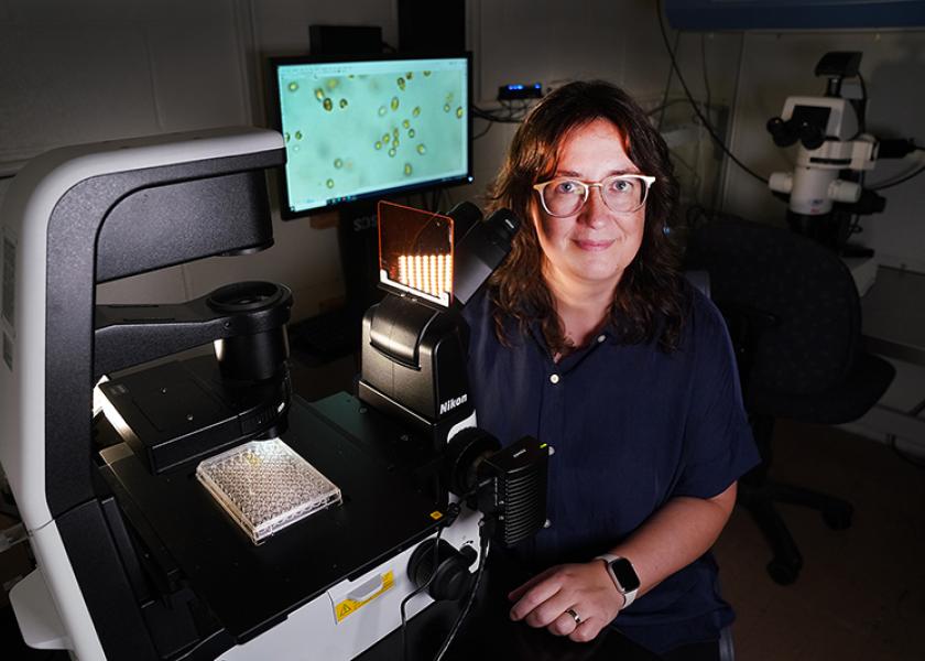 Jennifer Wisecaver, associate professor of biochemistry at Purdue University, looks for genetic variation in single-celled algae associated with algal blooms. 