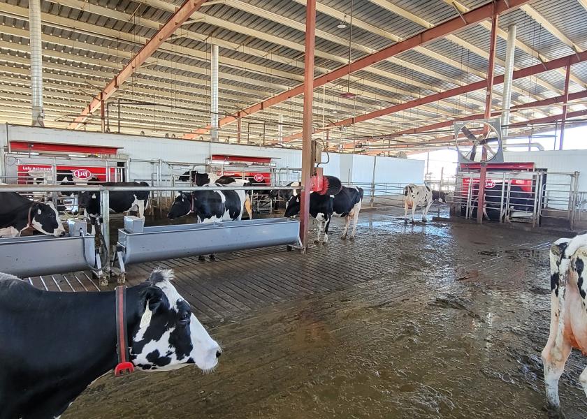 Reid-Rau Dairy says that the farm did their research with improved cow comfort being a priority and a robotic, L-shaped free flow milk system checked all the boxes.