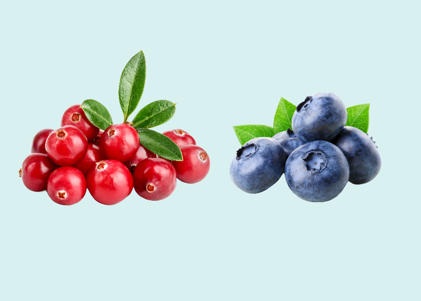 Following recent tariff lifts on apples, walnuts and almonds, India has slashed tariffs for additional U.S. exports which include blueberries and cranberries, signaling increased opportunities for American producers. 