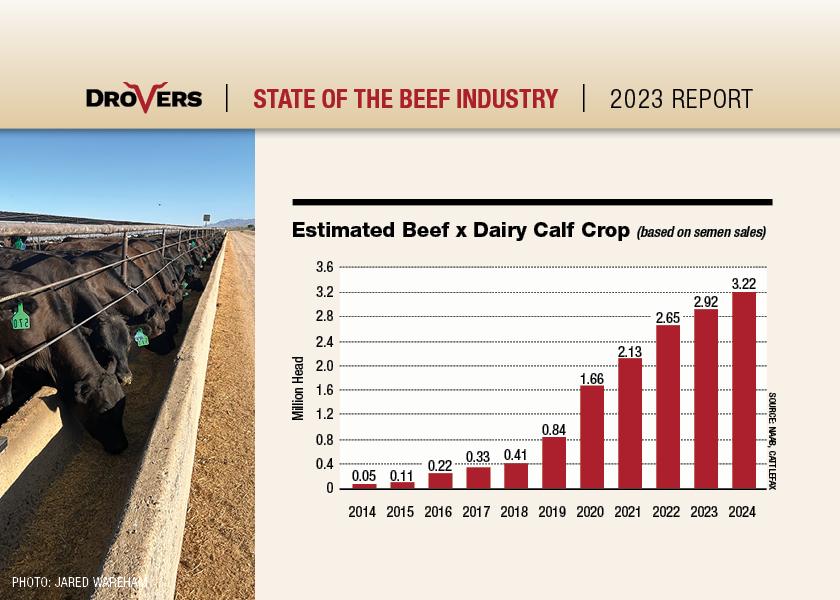 The rapidly growing beef-on-dairy segment holds promise for all stakeholders.