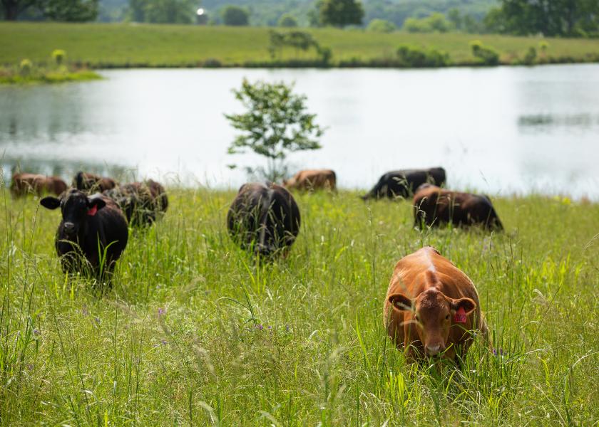 The Essentials of Regenerative Ranching program helps ranchers determine initial stocking rates, carrying capacity and grazing goals.