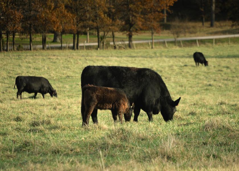 Fall is a good time to implement pasture improvements.