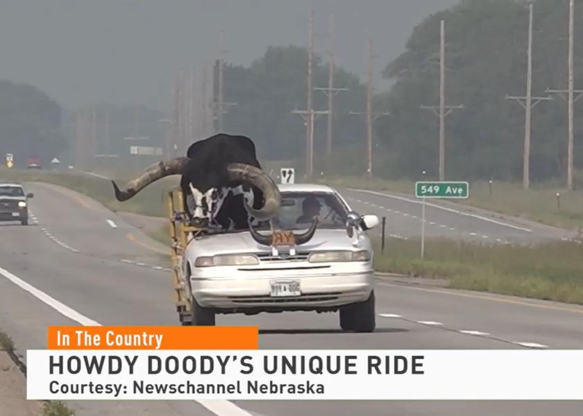 He is not your average Watusi bull. He enjoys long walks in the road ditches and joy rides with his owner Lee Meyer of Nebraska. In case you missed Howdy Doody’s rise to fame, here’s a look at how he gained attention.