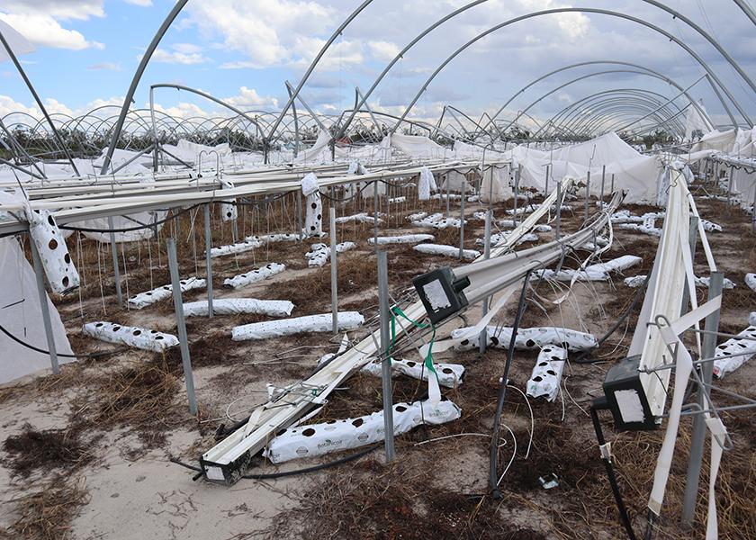 A preliminary University of Florida report assessing agricultural damages and losses from Hurricane Idalia estimates that 3.3 million acres of ag land were affected, along with a $392 million loss in production value.