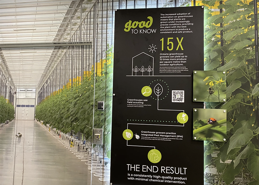 The Ontario Greenhouse Vegetable Growers’ “This is Greenhouse Goodness” campaign has converted the baggage claim area at Windsor International Airport to resemble an educational greenhouse farm. 