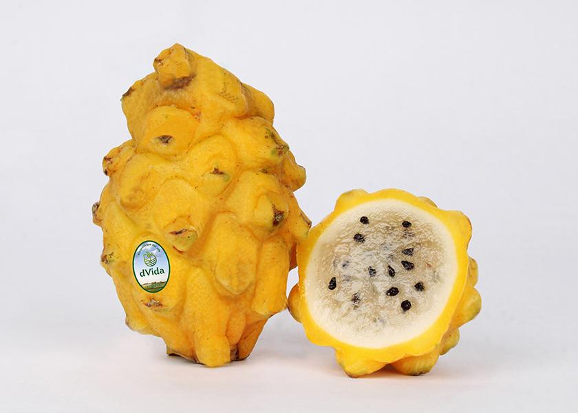 The Houston-based dVida Co. says it’s on schedule to ship over 2 million pounds of Ecuadorian mango this year and has recently added yellow and red dragon fruit to its portfolio. 