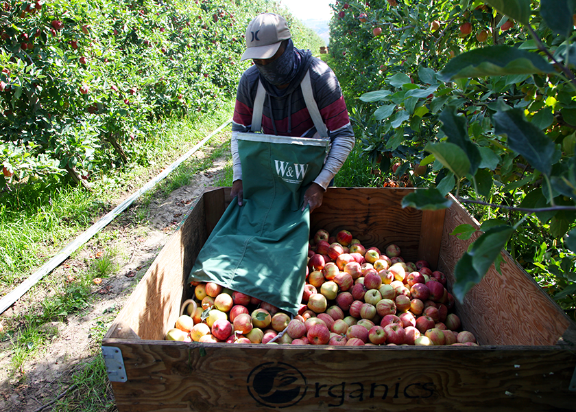 Ship a Bushel of Organic Apples