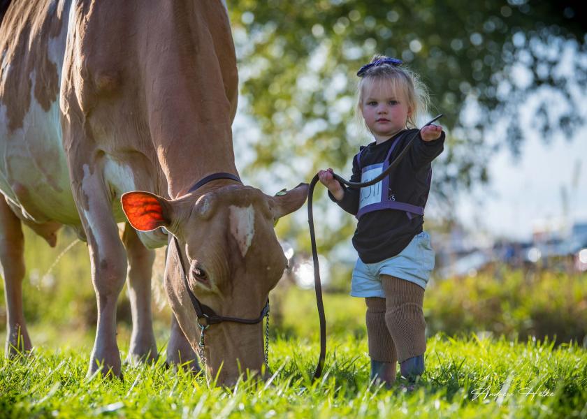 Brynn Grewe is a big source of inspiration for many in the dairy industry. 