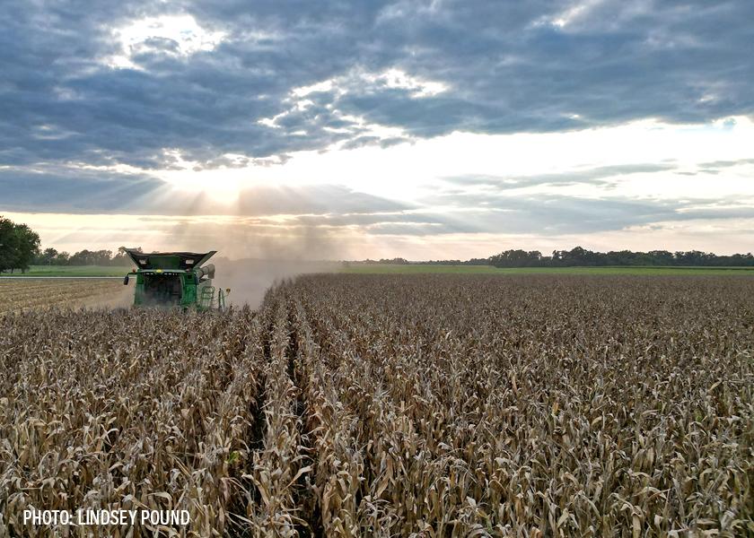 Harvest Update: Corn and Soybean Progress Jumps Ahead