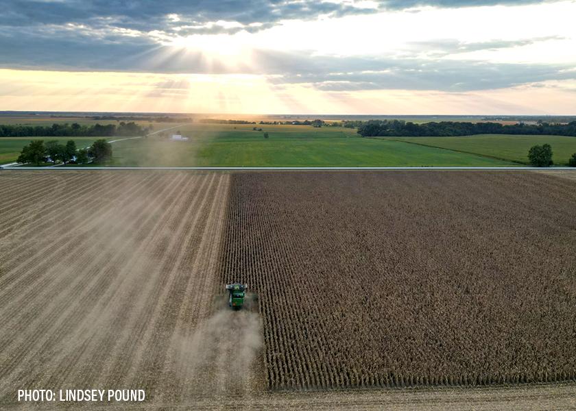 Harvest Update: The Home Stretch for Remaining Corn Acres