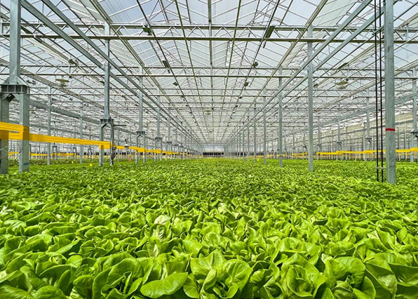 Gotham Greens opened a greenhouse in Windsor, Colo.