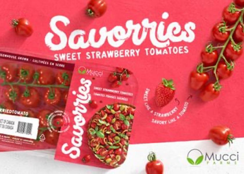 Mucci Farms touts its Savorries Sweet Strawberry Tomatoes The Packer