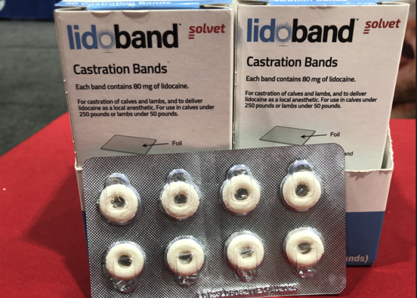 Solvet Lidoband is approved for use in calves under 250 pounds and in lambs under 50 pounds. The local, soothing anesthesia works for up to 42 days, helping veterinarians and producers improve animal well-being. 