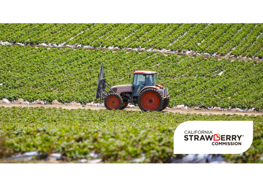 A recently published white paper has outlined the economic impact, environmental stewardship, research and community investments by strawberry growers across California. 