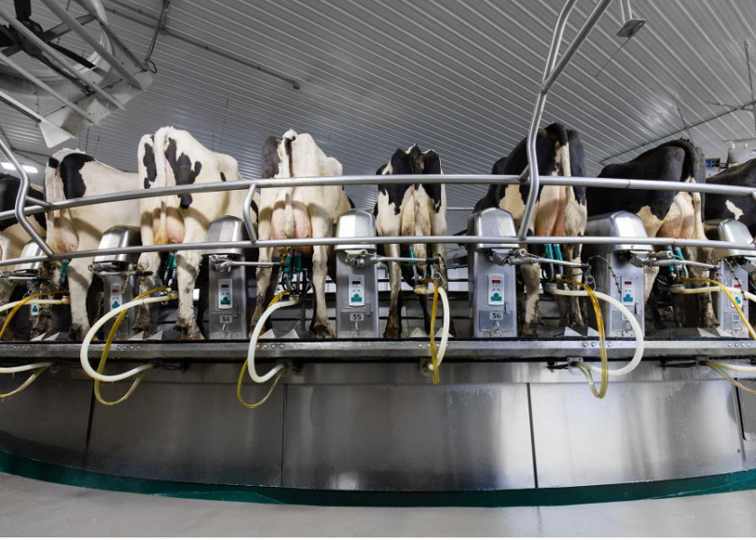 Made in America: GEA Rotary Parlors | Dairy Herd