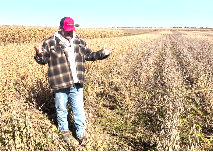 Three Ways to Be a Successful Soybean Yield Sleuth 