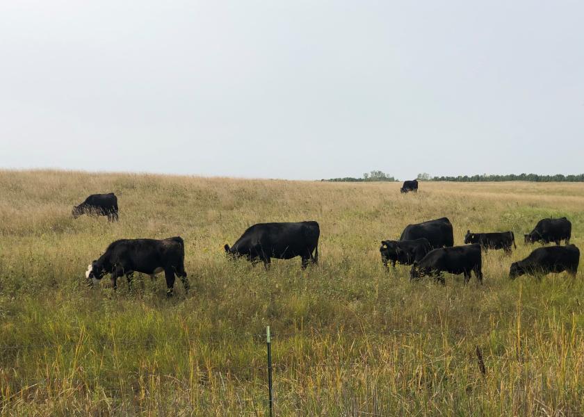 Heavy grazing use in the fall can have significant impacts on forage production the following season.