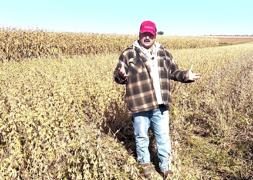 Ken Ferrie evaluating a problem spot in soybeans being harvested.
