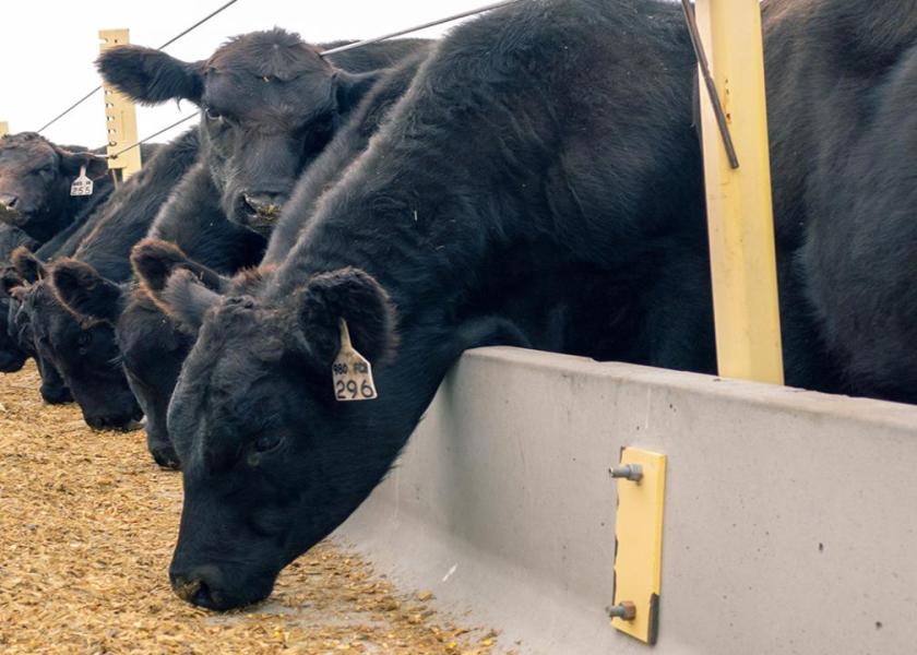 Preconditioning has benefits for those looking to sell their calves and to those retaining ownership. Though it is not a “one size fits all” for operations. The benefits need to be considered along with practicality.