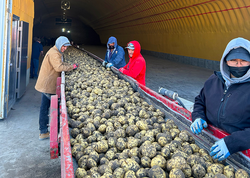 Potatoes roll along on a conveyor belt at Wada Farms during the Idaho Potato Commission’s September harvest tour for foodservice operators, as well as wholesale distributors and others.