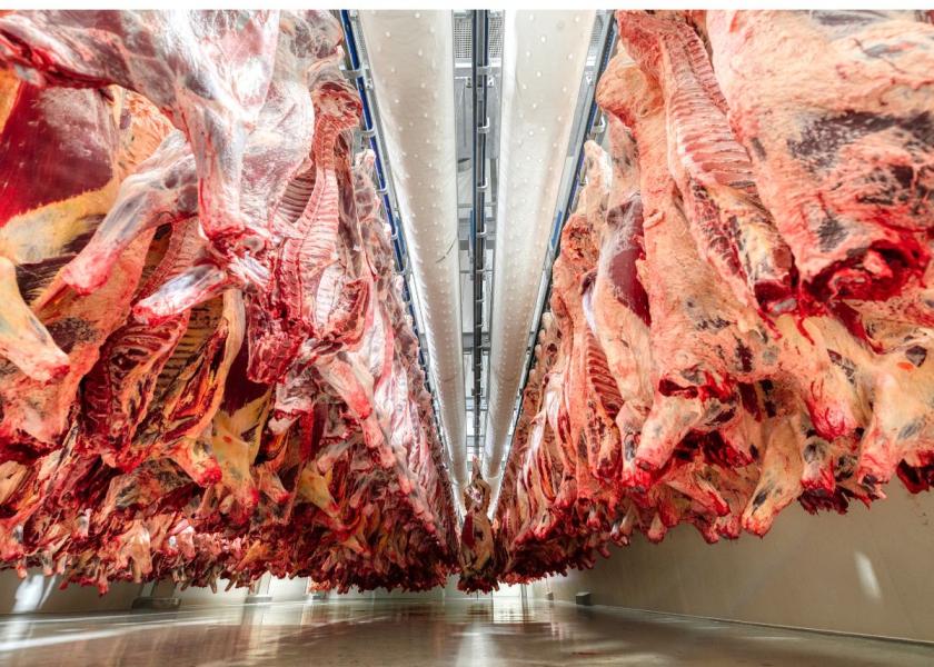 Liver Abscesses in Beef-on-Dairy Cattle are Costing Packers Big Money