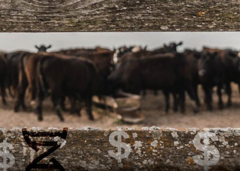 While it's likely the U.S. cowherd is generally of higher quality than it was a decade ago, today’s smaller herd presents an opportunity for ranchers to take another step forward with quality and management.