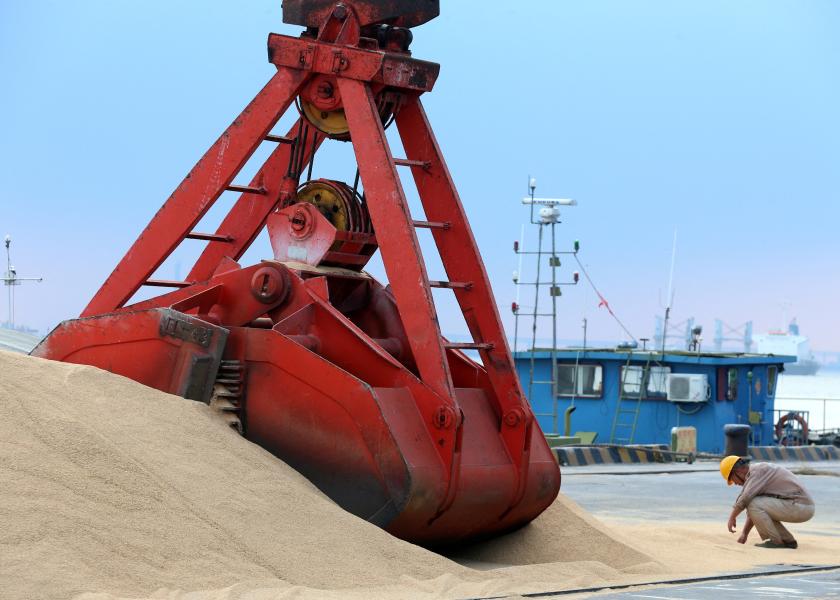 Imported soybeans are transported at a port in Nantong, Jiangsu province, China