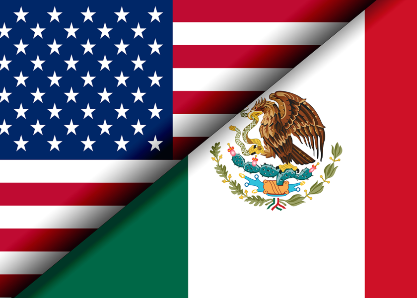 U.S. and Mexican flags