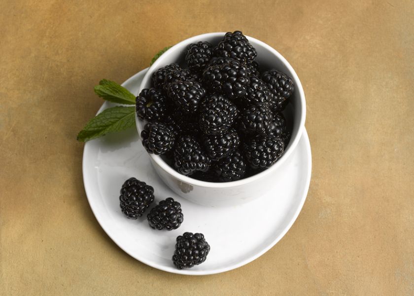 Sweet Karoline blackberries