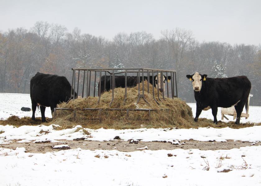 Help cattle weather the elements and combat cold stress when the temperature drops.
