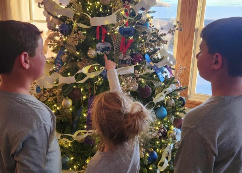The Johnson family of Maquoketa, Iowa, originally put up their ribbon tree in 2021 to show off the ribbons they had won throughout the year. But last year, Santa started a new tradition.