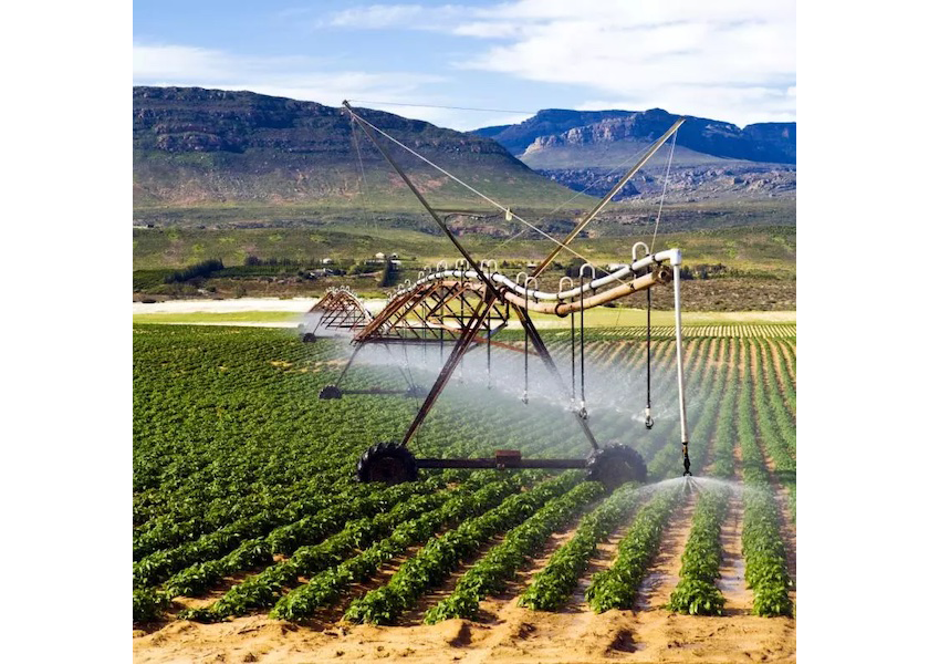 Water risks are increasing for U.S. growers, a new report says.

