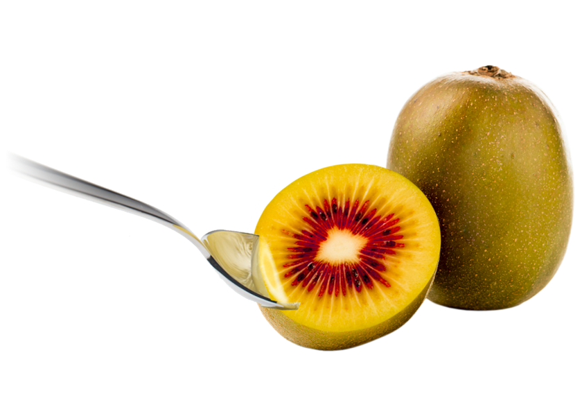 Oppy's Red Passion kiwifruit