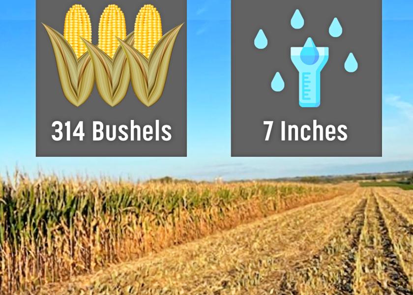 The contest winning yield was grown with only one-third of the rainfall David Heublein's fields usually get in a growing season.