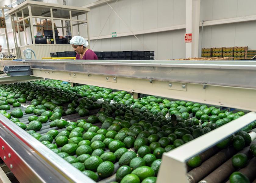 Pictured is Calavo Growers' avocado packinghouse in Jalisco.