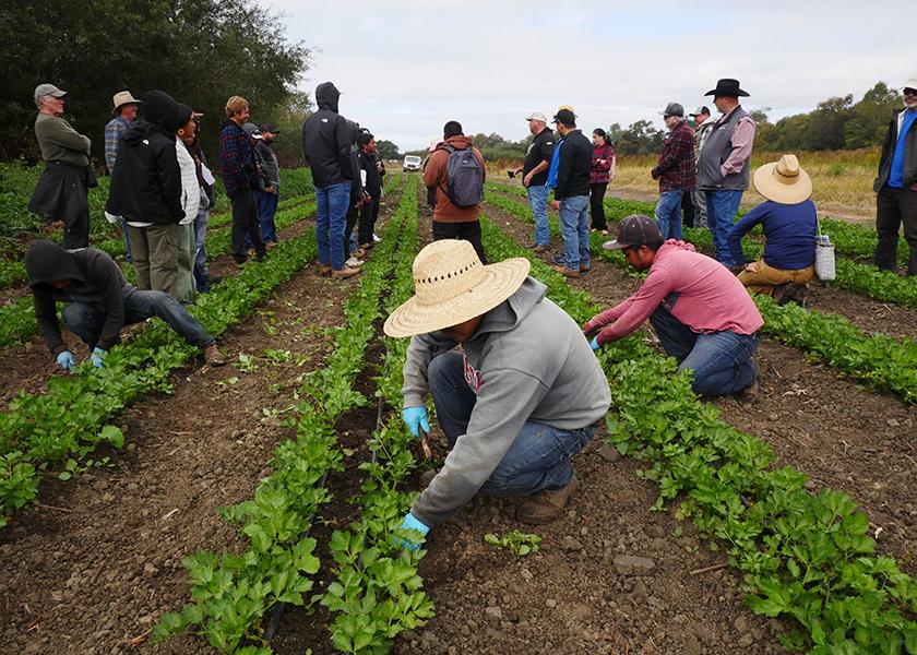 Specialty crop growers, farm advocates and America's Conservation Ag Movement gathered at JSM Organics Farm in California in September 2023 for a bilingual field day to learn from conservation steward, Javier Zamora. 
