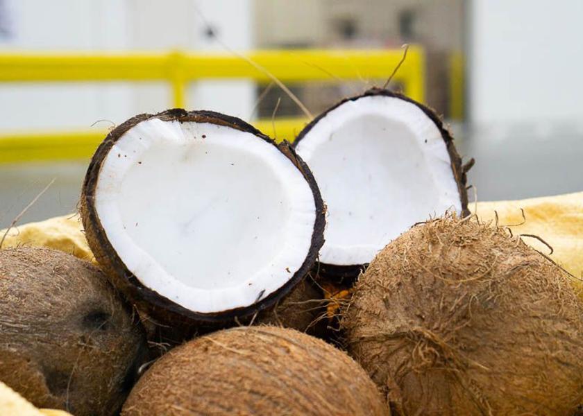 JVI Imports is now offering Vashini brown coconuts from India.