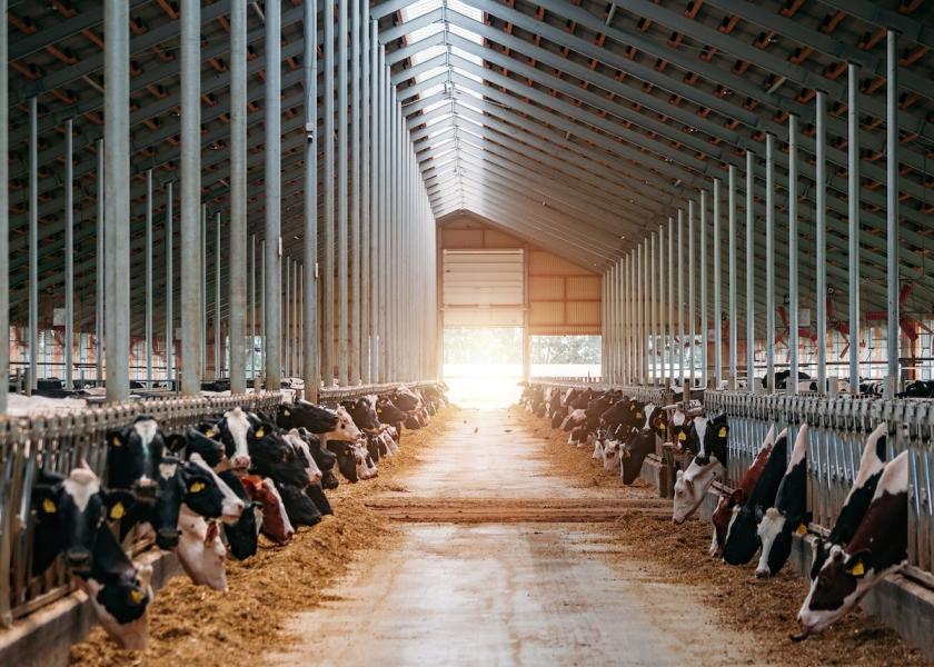 Dairy producers wonder what it will take for the market to turn around, as we wade out of this volatile economy. Phil Plourd shares fluctuating signals that are a telltale sign if milk prices will rebound in 2024.