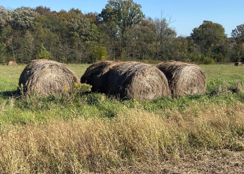 When faced with weathered bales, low hay supplies in the barn and high feed prices, livestock producers must adjust to maintain healthy bottom lines. 