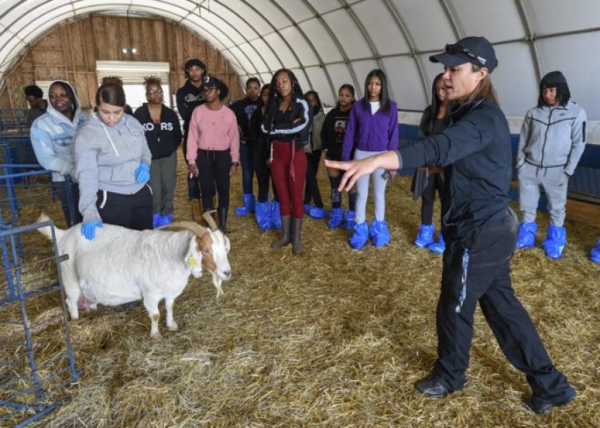 The University System of Maryland Board of Regents announced its approval for the program that will be the second veterinary school across the nation’s historically Black colleges and universities.