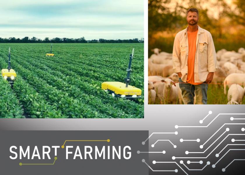 Swarm To The Future? Mini Farm Robots With Big Plans