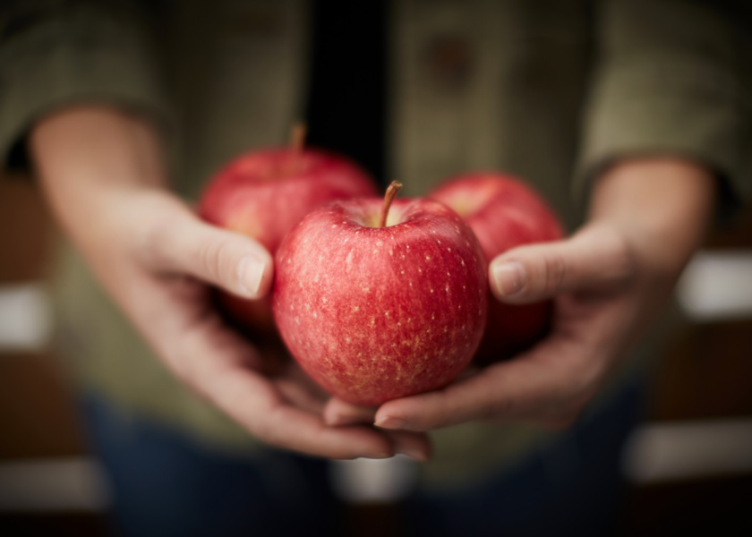 WildTwist, a cross of cripps pink and Honeycrisp, is a newer variety that continues to grow in popularity and demand, says Chris Sandwick, director of marketing at Hess Bros. Fruit.