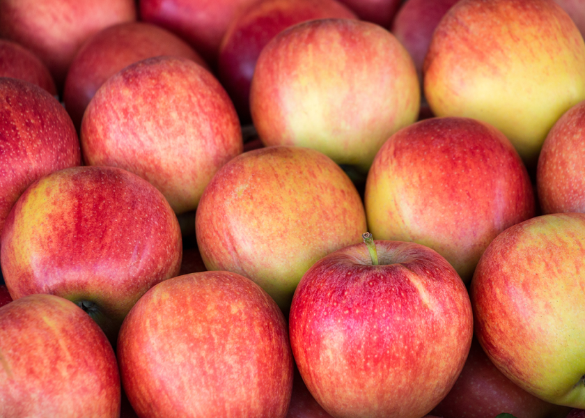 Gala remains a popular apple in terms of sales, while fuji and rome are two other noteworthy classic varieties, says Cynthia Haskins, president and CEO of New York Apples.